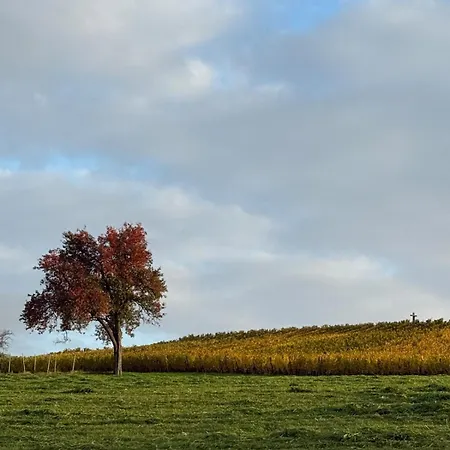 Casa de Férias L'étable - à L'ancienne Ferme Steinseltz