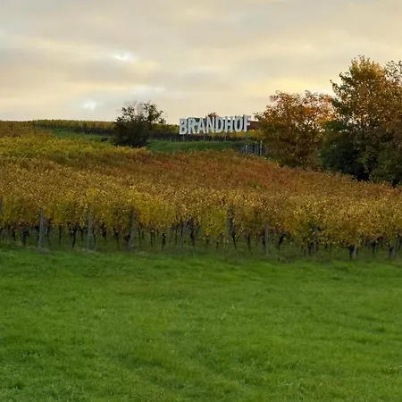 L'étable - à L'ancienne Ferme Steinseltz
