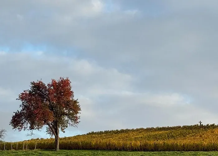 Nyaraló A L'ancienne Ferme Steinseltz